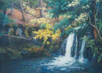 Cavit Creek Falls.jpg (95649 bytes)