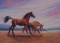 Running Free.jpg (31638 bytes)